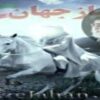 دانلود و ترجمه نوحه عجل الله فرجک باسم کربلایی