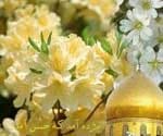 احادیث امام صادق سلام الله علیه بخش ۱